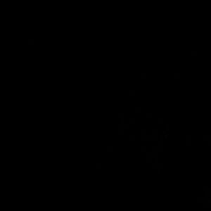 Meet your Posher, Terrell